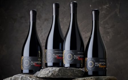 ÎNTREPRINDERE MIXTĂ “ALIANTA-VIN” SRL